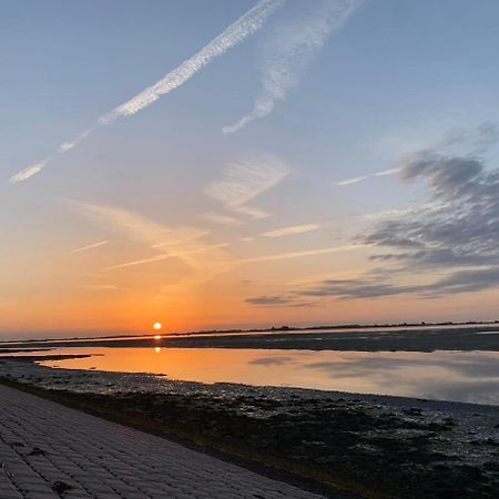 Vakantiewoning De Bosrand Aan Zee シント・アナラント エクステリア 写真