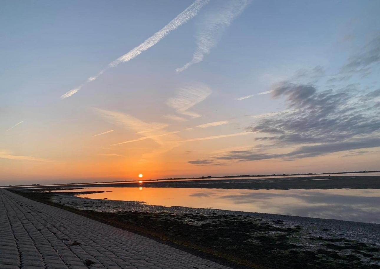 Vakantiewoning De Bosrand Aan Zee シント・アナラント エクステリア 写真