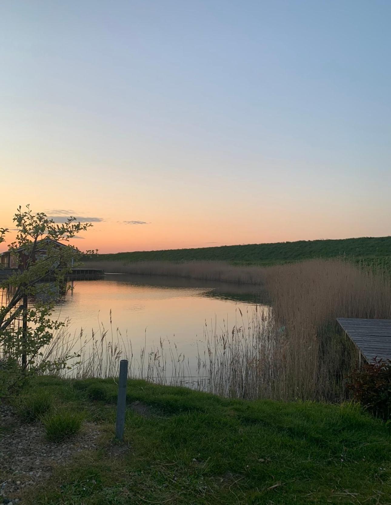 Vakantiewoning De Bosrand Aan Zee シント・アナラント エクステリア 写真