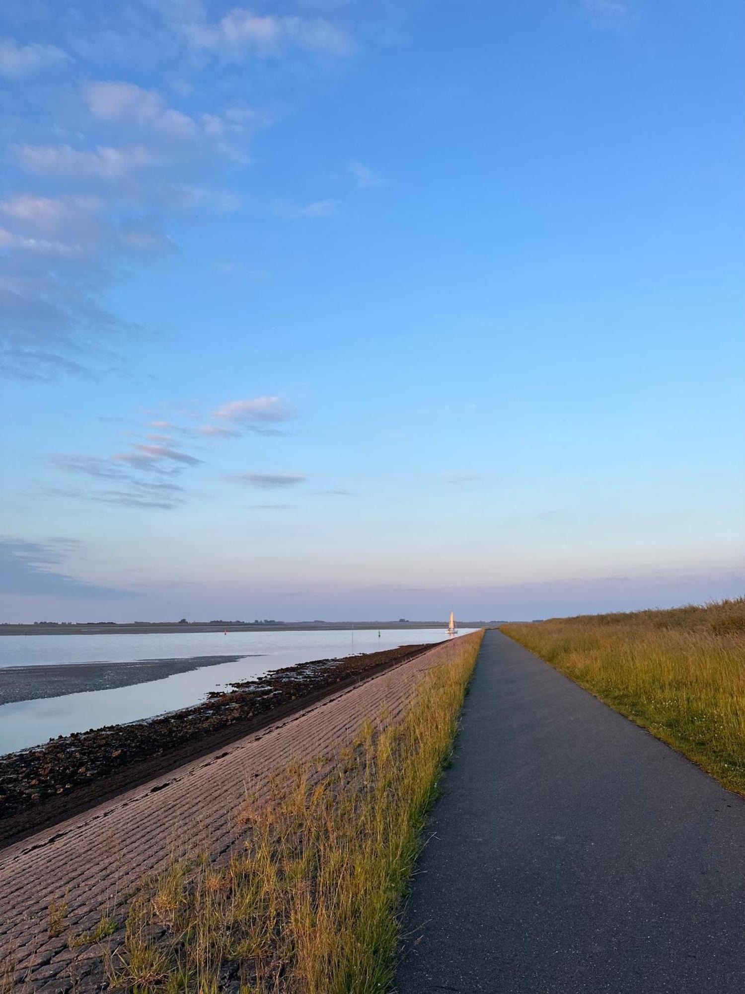 Vakantiewoning De Bosrand Aan Zee シント・アナラント エクステリア 写真