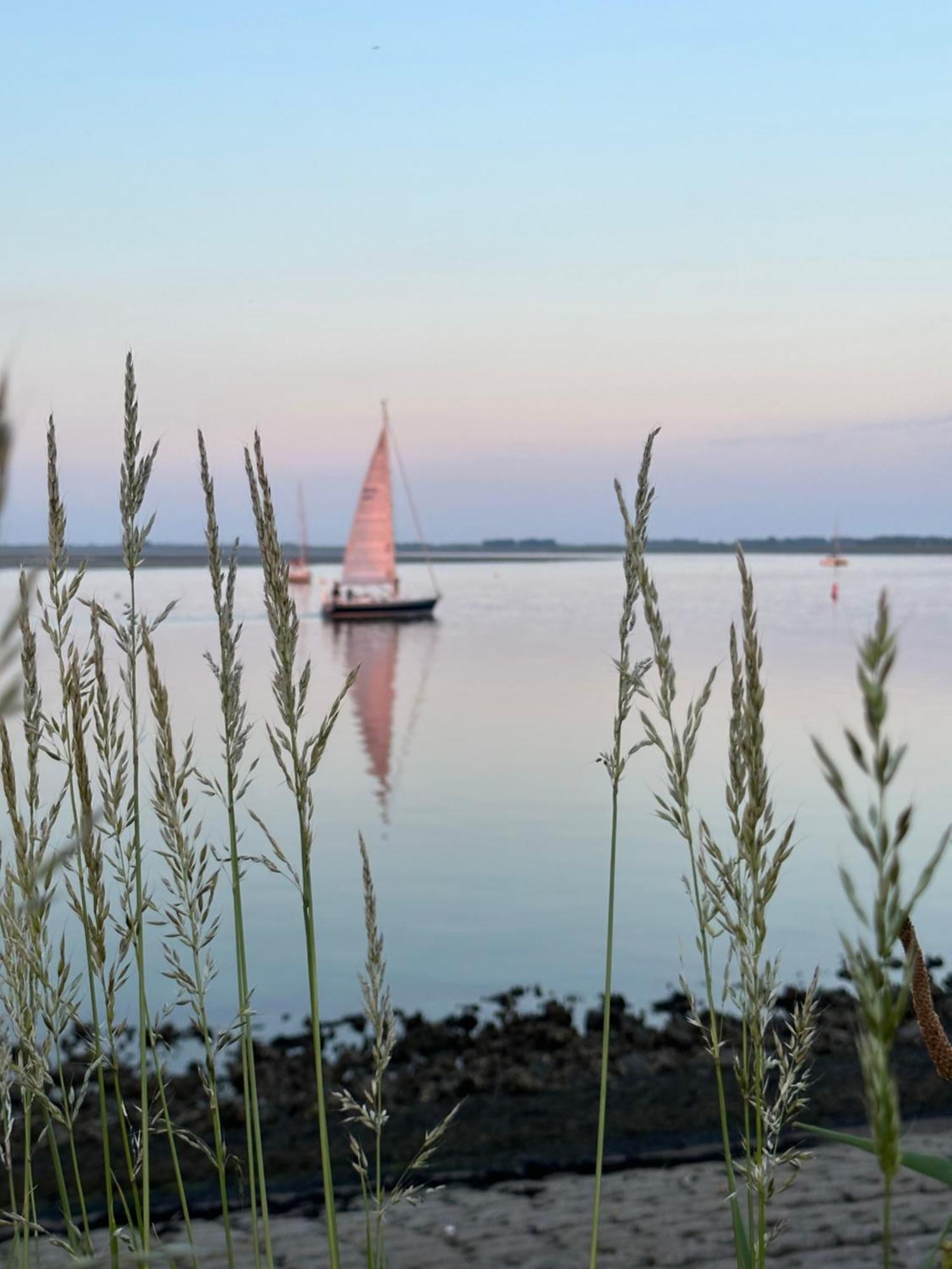 Vakantiewoning De Bosrand Aan Zee シント・アナラント エクステリア 写真