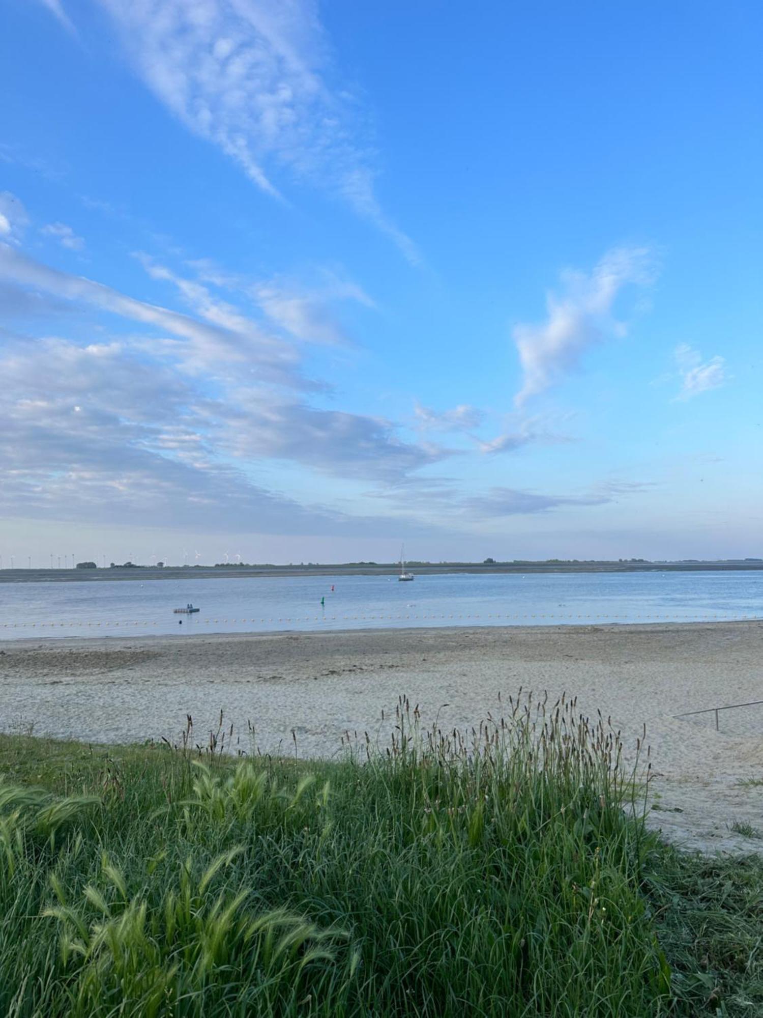 Vakantiewoning De Bosrand Aan Zee シント・アナラント エクステリア 写真