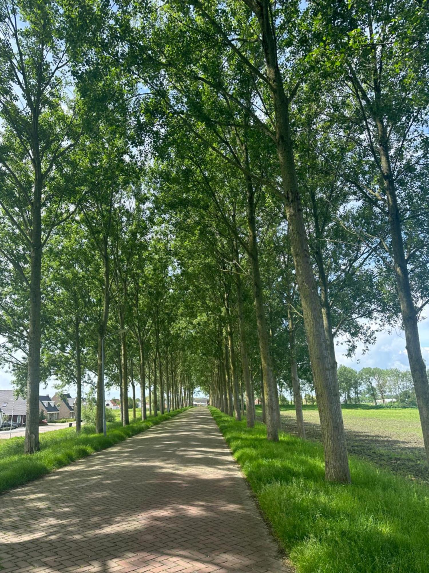 Vakantiewoning De Bosrand Aan Zee シント・アナラント エクステリア 写真